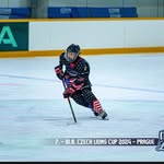 adam lauer - @adam_hockey_spiky - Instagram