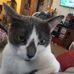 Adam Holton - Facebook