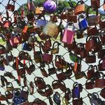 Adam Hosking - @hoskitez465 - Instagram