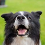 Doreen Adams Huggett - @adamshuggett - Instagram