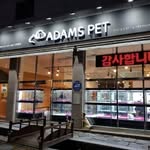 강아지분양 고양이분양 아담스펫 인천본점 (feat. 부천, 시흥, 광명, 안산, 안양) - @adamspet_garfieldcat_incheon - Instagram