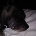 Adam Irvine - Facebook