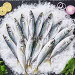 Balık Adam Irvine - @balikadam_irvine - Instagram