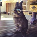 Adam Irwin - @adamirwin - Instagram