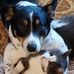 Adam Irwin - Facebook
