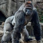 Adam Jansen - @a1j_sell - Instagram