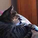 Adam Jansen Van Vuuren - @adamjansenvanvuuren - Instagram