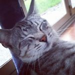 adam.jansen.van.vuuren - @adam.jansen.van.vuure - Instagram