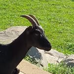 Adam Jeřábek - @adamek3989 - Instagram