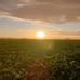Adam Joerger - Facebook