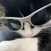 ️Adam - @adamjoaquinn_ - TikTok