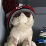 Adam Joaquin581 - @adamjoaquin581 - TikTok