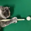 Joaquin Adam Navarro - @joaquin.adam.nava - TikTok