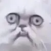 adam_joel_7 - @adam_joel_7 - TikTok