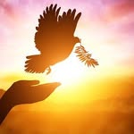 Adam Kayode - @miserableseven7 - Instagram