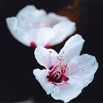 Adam keeling - @adam__keeling - Instagram