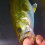 Adam Keep Fishing Never Stop🐟🎣 - @adam_fishing_and_hunting_ - Instagram