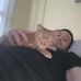 Adam J. Kellum - Facebook