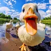 Adam - @adamkemal - TikTok