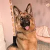 adam - @adamkent709 - TikTok