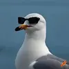 Adam - @adamkenealy - TikTok