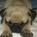 Adam Kimble - Facebook