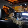 Adam Ko - @adamkourich.37 - TikTok