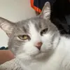Adamko_09 - @adamko_098 - TikTok