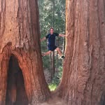 Adam Kogan - @akogan99 - Instagram
