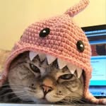 adamkoo - @adamkoobby - Instagram