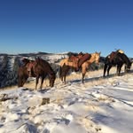 Adam Korth - @adamkorth1 - Instagram