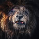 Adam - @adam_kost06 - Instagram