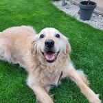 Adam Kosinski - @kosinski445 - Instagram