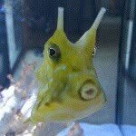 Adam Kovacevic - @adko1975 - Instagram