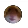 Adam Kovar - @adamkovar44 - TikTok