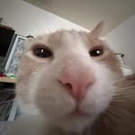 Adam Kovařík - @_adam.kovarik_ - Instagram