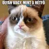 Ádám Kövesdi - @adamkovesdi - TikTok