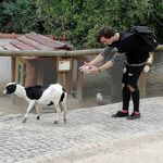 Adam Koželuh - @adamkozeluh - Instagram