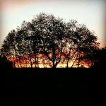 Adam kozlík - @kozel_adam - Instagram