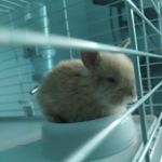 Adam Kozinski - @adam.kozinski.127 - Instagram