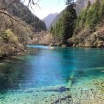 Adam Kwok - @adam.kwok.58 - Instagram