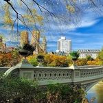 Adam Kwok - @adam.kwok - Instagram