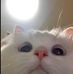 Adam Lah - Facebook