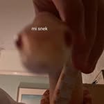 AdamLamont - @adam_lamont1331 - Instagram