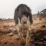 Adam Lang - @adamlang9465 - Instagram