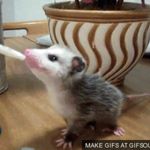 Adam Langford - @adam.langford.52 - Instagram