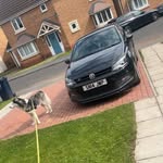 adam langford - @adam.langford - Instagram