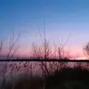 Adam Lánik - @adam.lnik - TikTok