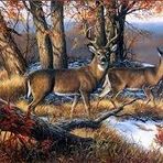 Adam Lanthier - Facebook