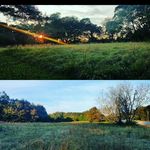 Adam Lapierre - @adam810320 - Instagram